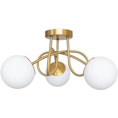LAM/gld/341648.jpg