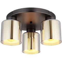 LAM/glo/16056-3d-1.jpg