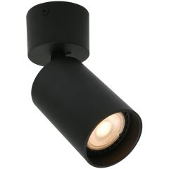 LAM/itl/spl-23436-1r-bk-1.jpg