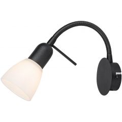 LAM/RAB/73090-1.jpg