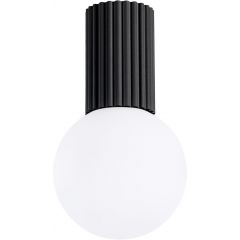 LAM/SUX/sl-1713-a.jpg