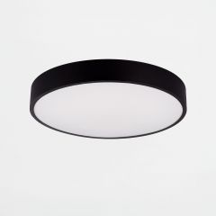 LAM/ZML/ms724-r400.jpg