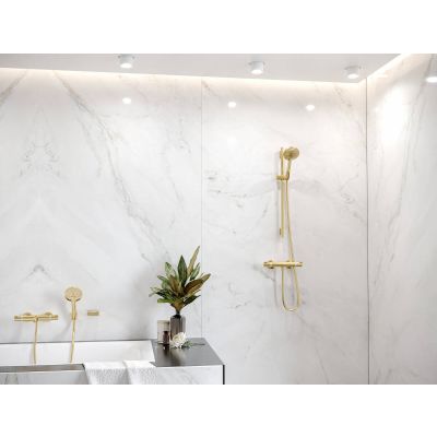 Hansgrohe Ecostat 13116990 bateria prysznicowa