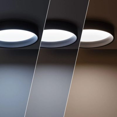 Plafon 1x21 W czarny ABRPLON20WCCT Abruzzo Nero