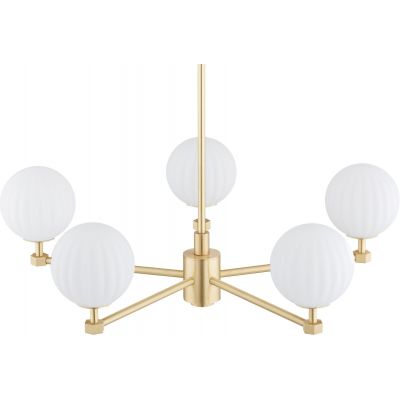 Lampa wisząca 5x7 W biała 2184 Argon Paloma