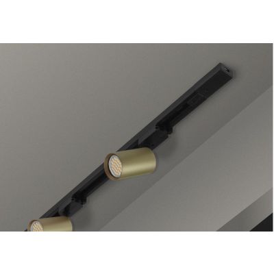 Lampa do szynoprzewodów 1x60 W złoty STRGU10G DPM