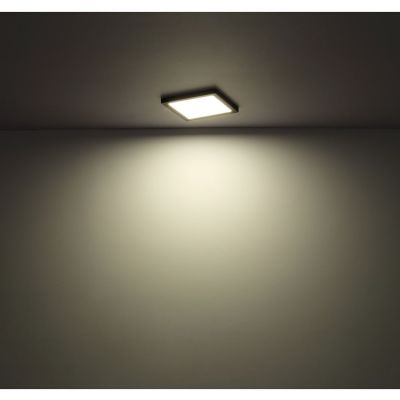 Plafon 1238024B Globo Lighting Lasse