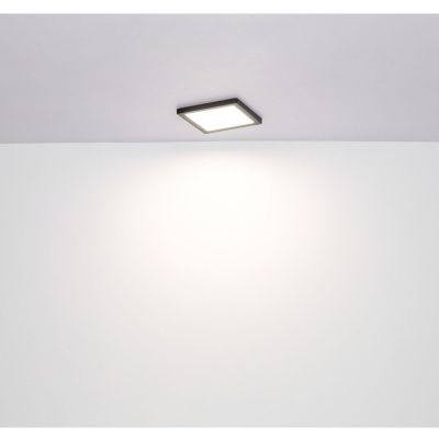 Plafon 1238024B Globo Lighting Lasse