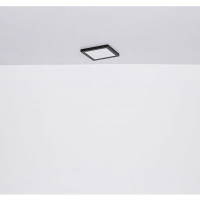 Plafon 1238024W Globo Lighting Lasse