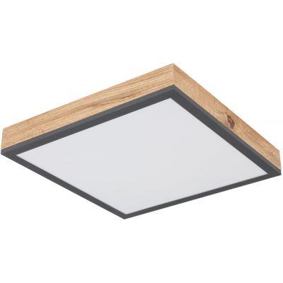 Plafon 416080WD1 Globo Lighting Doro