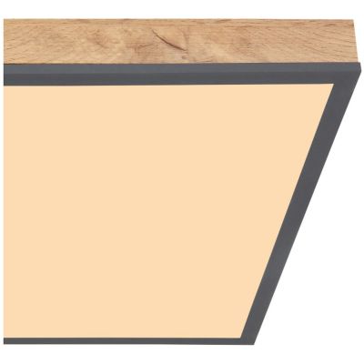 Plafon 416080WD2 Globo Lighting Doro