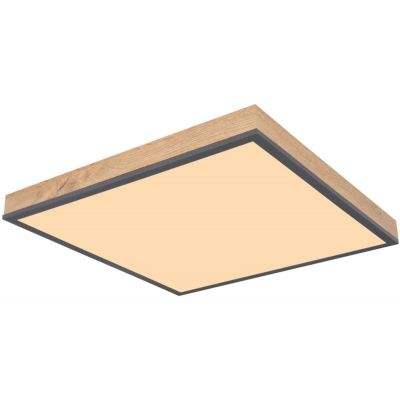 Plafon 416080WD2 Globo Lighting Doro