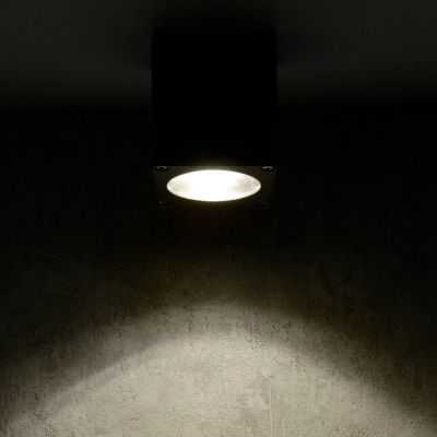 Lampa podsufitowa zewnętrzna 1x12 W czarna 323255 Goldlux Morris