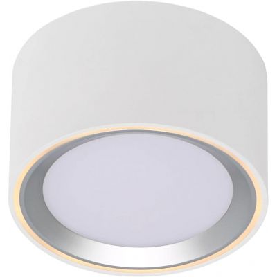 Lampa podsufitowa 1x5.5 W biały 47540132 Nordlux Fallon