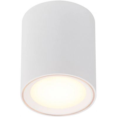 Lampa podsufitowa 1x5.5 W biały 47550101 Nordlux Fallon