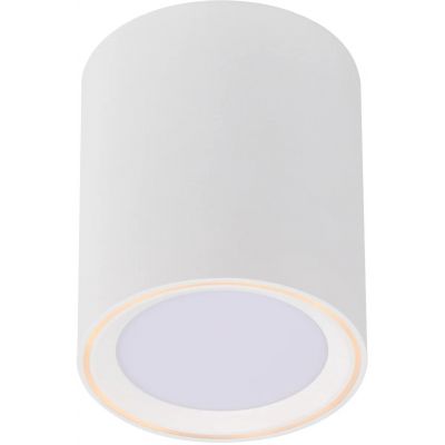 Lampa podsufitowa 1x5.5 W biały 47550101 Nordlux Fallon