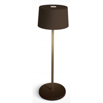 Lampa stołowa 1x3.3 W brązowa 61082ABR One Light Prionia