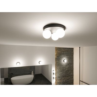 Lampa podsufitowa 3x20 W czarna PL71069 Paulmann Gove