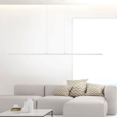 Lampa wisząca 1x40 W stal 837755 Paul Neuhaus Pure-Lite