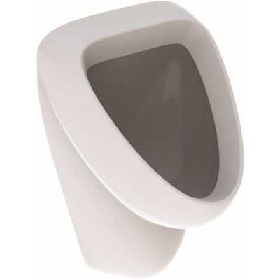 Pisuar 236600000 Geberit Aller