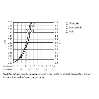Hansgrohe Raindance 26014000 słuchawka prysznicowa