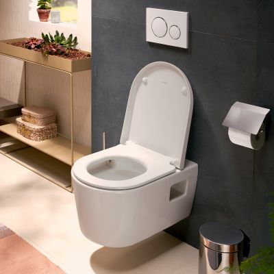 Zestaw Hansgrohe 60148450, 62024450