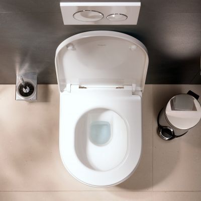 Zestaw Hansgrohe 60148450, 62024450