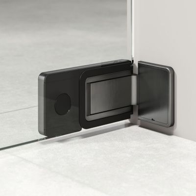 Drzwi prysznicowe 90 cm uchylne grafitowy szczotkowany/szkło przezroczyste PU140906145100 Sealskin Pure