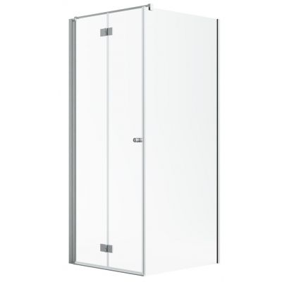 Drzwi prysznicowe 100 cm uchylne szczotkowany/szkło przezroczyste 100251009101L Radaway Nes Brushed Nickiel KDJ B