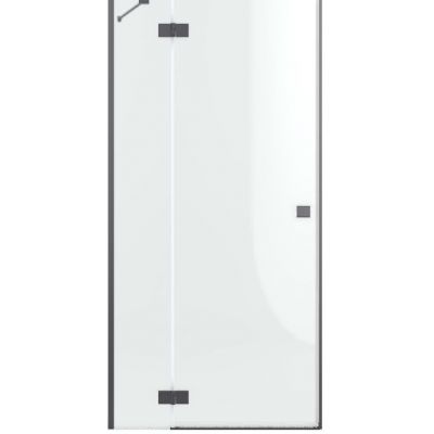 Drzwi prysznicowe 120 cm uchylne szczotkowany/szkło przezroczyste 13850169201L Radaway Essenza DWJ