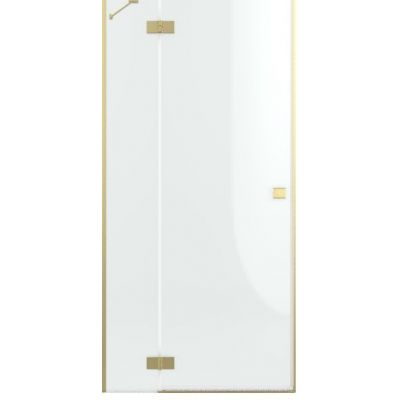 Drzwi prysznicowe 120 cm uchylne złoty szczotkowany/szkło przezroczyste 13850169901L Radaway Essenza DWJ