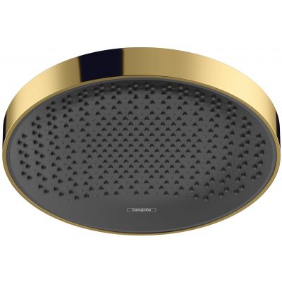 Deszczownica 25x25 cm okrągła 26228990 Hansgrohe Rainfinity