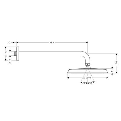 Hansgrohe Raindance 27424090 deszczownica z ramieniem