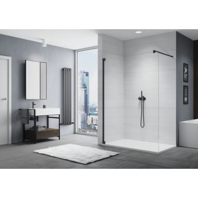 Ścianka prysznicowa walk-in 100 cm CAT41000607 SanSwiss Cadura