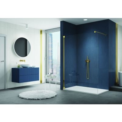 Ścianka prysznicowa walk-in 120 cm CAT41201207 SanSwiss Cadura