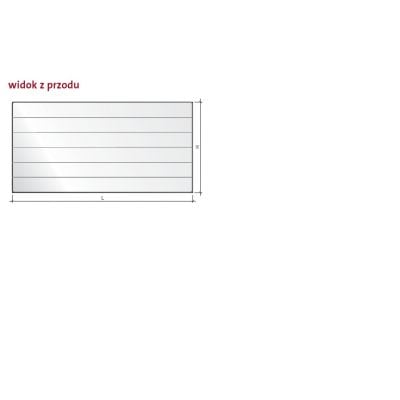 Grzejnik pokojowy 60x200 cm podłączenie boczne F0I2206020010300 Purmo Ramo Compact
