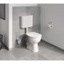 Szczotka toaletowa ścienna starlight chrome 40463001 Grohe Cosmopolitan zdj.3