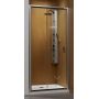 Drzwi prysznicowe 120 cm rozsuwane 333130101N Radaway Premium Plus DWJ zdj.1