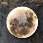 Kinkiet 1x24 W biały MOON Abigali Moon zdj.7