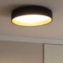 Plafon 1x21 W czarny ABRPLRC20WCCT Abruzzo Royal zdj.7
