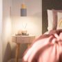 Lampa wisząca 1x20 W szary/popielaty ABRZE27VITAS Abruzzo Vita zdj.6