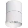 Lampa podsufitowa 1x7 W biała ABRLPR7WBNW Abruzzo Estetica LED zdj.1