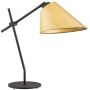 Lampa biurkowa 1x15 W czarna 4274 Argon Clava zdj.1