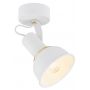 Lampa podsufitowa 4899 Argon Twist zdj.1