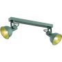 Lampa podsufitowa 2x7 W zielona 7174 Argon Lenora zdj.1