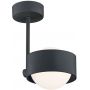 Lampa podsufitowa 1x6 W czarna 8060 Argon Massimo Plus zdj.1