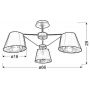 Lampa podsufitowa 3354982 Candellux Cortez zdj.2