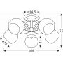 Lampa podsufitowa 5x40 W biała 3522554 Candellux Graphite zdj.2