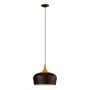 Lampa wisząca 1x60 W 95385 Eglo Obregon zdj.1
