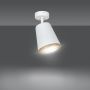 Lampa podsufitowa 4071 Emibig Prism zdj.2